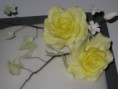 /album/fotogalerie/img-5799-jpg/